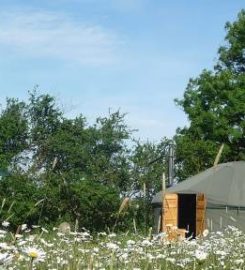 Suffolk Yurt Holidays