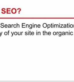Mandurah SEO & Web Design