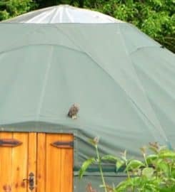 Suffolk Yurt Holidays