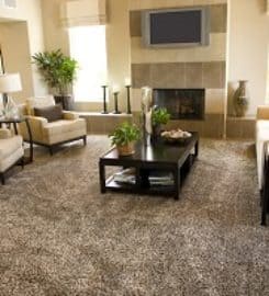 Cardinal Cleaning Inc.