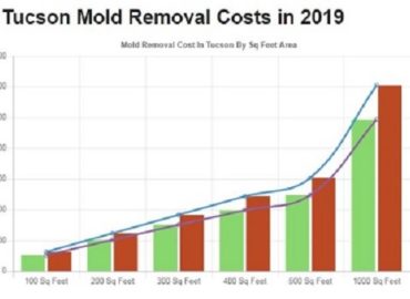 ALL US Mold Testing & Inspection Tucson – Mold Removal  &hellip;