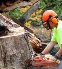Owens Brothers Tree Service