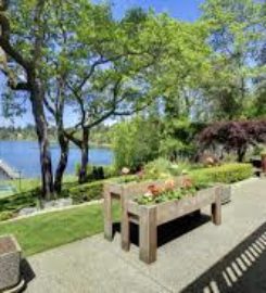 South Denver Tree Service