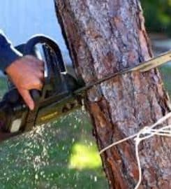 Owens Brothers Tree Service