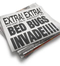 Bed Bug Exterminator San Francisco