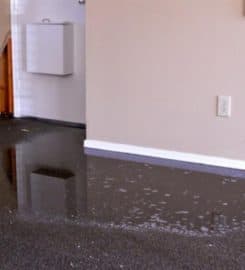 24/7 Restoration Santa Monica