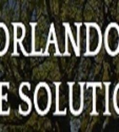 Tree Solutions Dr Philips