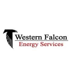 Western Falcon