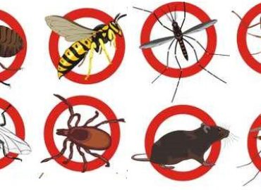 Pestong Pest and Animal Control Inc.