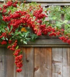 Paterson Fence Installation Co