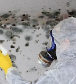 24/7 Restoration Santa Monica