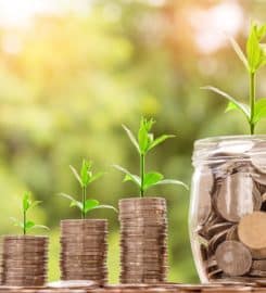 Jacaranda Finance