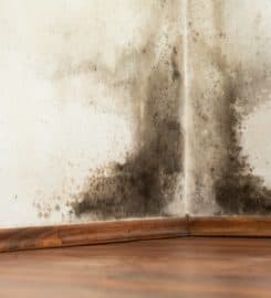 24/7 Restoration Santa Monica