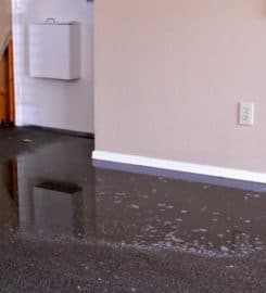 24/7 Restoration Santa Monica