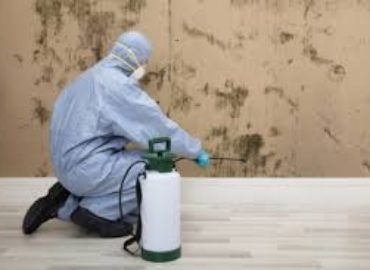 Canada's Restoration Services