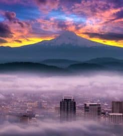 OWS Digital Marketing Agency Portland