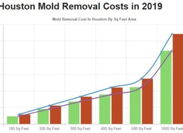 All US Mold Removal Houston TX