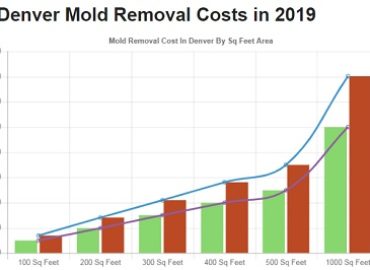 All US Mold Removal Denver CO | Mold Remediation Services
