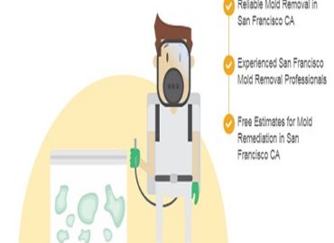 All US Mold Removal San Francisco CA