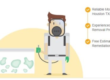All US Mold Removal Houston TX