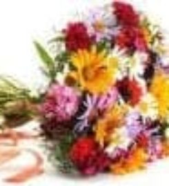 CosmeaGardens