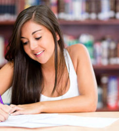 Online Learn Chinese Language and HSK Proficiency Test | Viplovec &hellip;