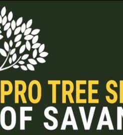 Pro Tree Service of Savannah