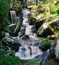 Waterform Design Inc