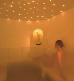 Steam Sauna Inc
