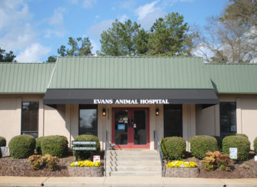 Evans Animal Hospital