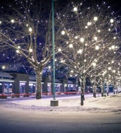 Colorado Christmas Lights