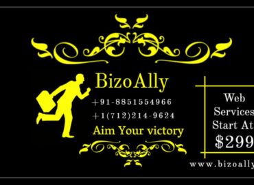 Bizoally