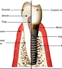 The Urban Dentist