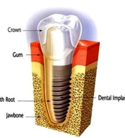 The Urban Dentist