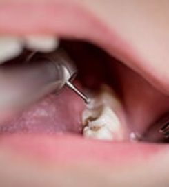 The Urban Dentist