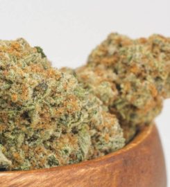 Electric Lettuce Oregon City Dispensary