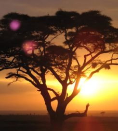 Promised Land Tours Limited