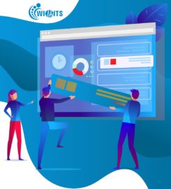 Wibits Web Solutions LLP