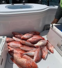 Side Bet Sport Fishing