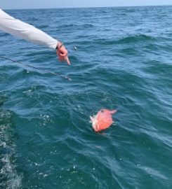 Side Bet Sport Fishing