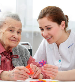 iCare Home Health Services Inc.