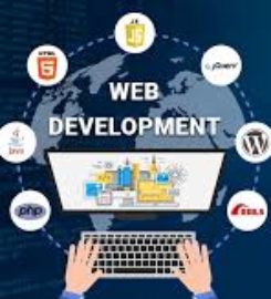 Binary Data Pvt Ltd | Best IT company in Mohali