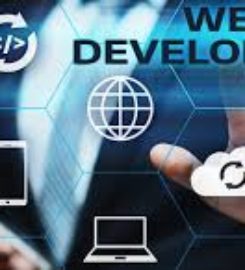 Binary Data Pvt Ltd | Best IT company in Mohali