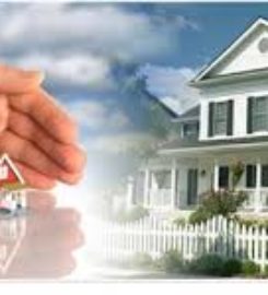 Himachal Homeland – Best Property Dealers In Baddi, Solan, Hima &hellip;