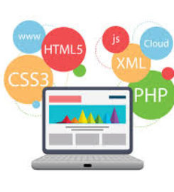 Binary Data Pvt Ltd | Best IT company in Mohali