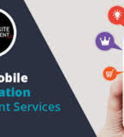 Binary Data Pvt Ltd | Best IT company in Mohali