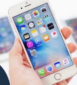 Binary Data Pvt Ltd | Best IT company in Mohali