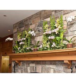 Springhill Flowers
