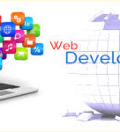 Binary Data Pvt Ltd | Best IT company in Mohali