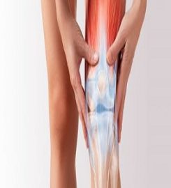 Bodytech Osteo